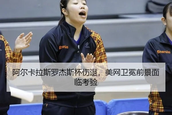 a-er-ka-la-si-luo-jie-si-bei-shang-tui-mei-wang-wei-mian-qian-jing-mian-lin-kao-yan-3-355.jpg