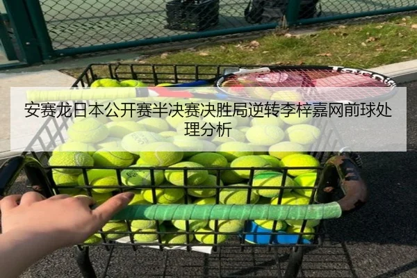 an-sai-long-ri-ben-gong-kai-sai-ban-jue-sai-jue-sheng-ju-ni-zhuan-li-zi-jia-wang-qian-qiu-chu-li-fen-xi-3-872.jpg